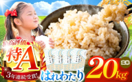 はれわたり 玄米 20kg | 米 お米 こめ コメ 20kg 2025年産 令和7年度産 国産 産地直送 もっちり 甘み 定期 青森の旨い米グランプリ 最優秀賞 獲得 水稲 宝精米所 青森県 六戸町