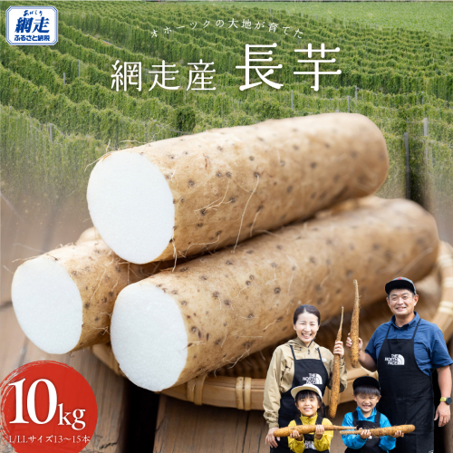 長芋 10kg ABBX003 2540549 - 北海道網走市