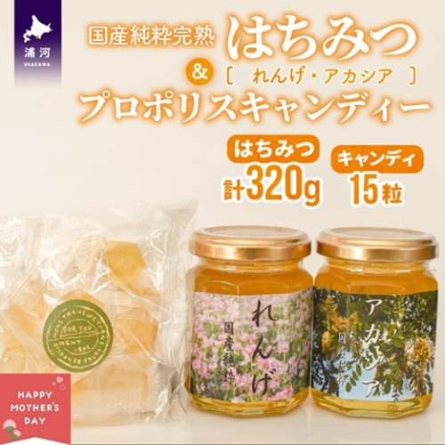 【母の日対応】国産純粋完熟はちみつ小瓶(れんげ・アカシア)＆プロポリスキャンディーセット[16-1579] 2540551 - 北海道浦河町