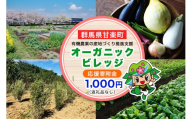 [返礼品なし] 群馬県甘楽町 オーガニックビレッジ 有機農業の産地づくり推進支援 応援寄附金千円|応援 支援 農業 有機農業 甘楽町 群馬県 [0337]