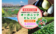 [返礼品なし] 群馬県甘楽町 オーガニックビレッジ 有機農業の産地づくり推進支援 応援寄附金三千円|応援 支援 農業 有機農業 甘楽町 群馬県 [0338]