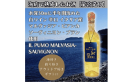 ＜海底に半年沈めて熟成した白ワイン＞辛口 IL PUMO MALVASIA-SAUVIGNON #9【1719230】