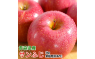 平均糖度13度以上! サンふじ 約3kg 訳あり CA貯蔵 クール便 青森 りんご【1720918】