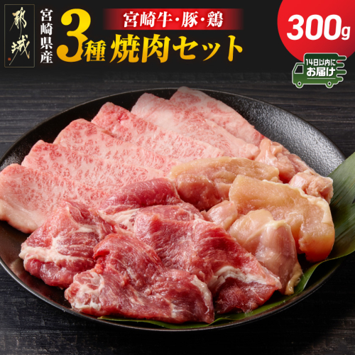 宮崎県産≪宮崎牛・豚・鶏≫3種の焼肉セット300g≪みやこんじょ快速便≫_AA-89-003-300g-R 2540851 - 宮崎県都城市