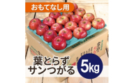 ＜2026年10月発送予定＞平均糖度12度以上! 葉とらずサンつがる 約5kg おもてなし用【1667865】