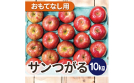 ＜2026年9月発送予定＞平均糖度12度以上! 葉とらずサンつがる 約10kg おもてなし用【1667868】