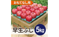 ＜2026年10月発送予定＞平均糖度12度以上! 早生ふじ 約5kg おもてなし用【1667885】