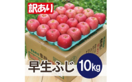 ＜2026年10月発送予定＞平均糖度12度以上! 早生ふじ 約10kg 訳あり【1667886】
