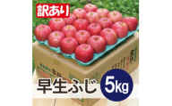 ＜2026年10月発送予定＞平均糖度12度以上! 早生ふじ 約5kg 訳あり【1667887】