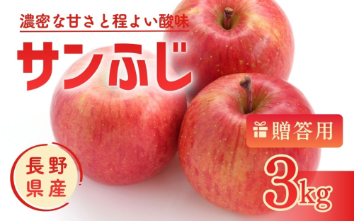 りんご サンふじ 3kg 贈答用 信州 フルーツ 果物　サンふじりんご 林檎 リンゴ サンふじ くだもの 旬の果物 旬のフルーツ 信州産 長野県産 長野 長野県 上田市 2541166 - 長野県上田市