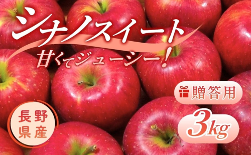 りんご シナノスイート 3kg 贈答用 信州 フルーツ 果物　林檎 リンゴ くだもの 旬の果物 旬のフルーツ 信州産 長野県産 長野 長野県 上田市 2541170 - 長野県上田市