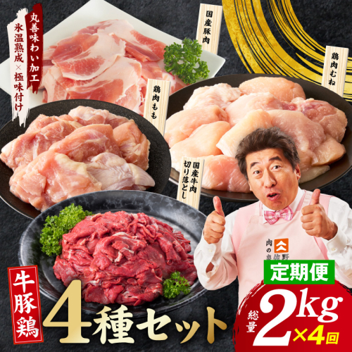 【定期便】国産 牛豚鶏 4種セット 2kg×4回【氷温熟成×極味付け 牛肉 豚肉 鶏肉 もも むね 食べ比べ 普段使い 味付き 小分け 訳あり サイズ不揃い 毎月配送コース】 mrzZ087 2541277 - 大阪府泉佐野市
