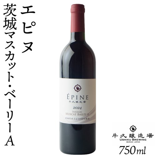 エピヌ　茨城マスカット・ベーリーA 750ml×1 茨城県産 牛久醸造場 日本ワイン ワイン お酒 贈り物 上品 果実 クリスマス 誕生日 赤ワイン 樽熟 マスカットベーリー 辛口 ライトボディ 2541668 - 茨城県牛久市