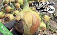 宝珠タマネギ　早生　３キロ　★５月下旬から発送
