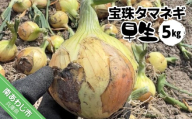宝珠タマネギ　早生　５キロ　★５月下旬から発送