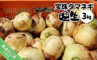 宝珠タマネギ　晩生　３キロ　★６月下旬から発送
