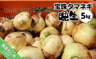 宝珠タマネギ　晩生　５キロ　★６月下旬から発送