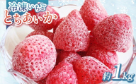 出会いの森いちご園 冷凍いちご (1kg) | いちご イチゴ 苺 栃木県 果物 くだもの フルーツ とちあいか 新鮮 贈答 ギフト デザート スイーツ 冷凍 ※離島への配送不可 ※2026年5月中旬頃までに順次発送予定