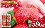 [先行予約]出会いの森いちご園 スカイベリー (290g×2パック) | いちご イチゴ 苺 栃木県 果物 くだもの フルーツ スカイベリー 新鮮 贈答 ギフト デザート スイーツ ※離島への配送不可 ※2026年12月上旬頃から2027年3月下旬頃に順次発送予定