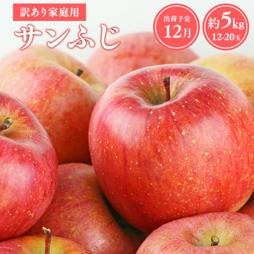 ≪令和8年産先行受付≫12月発送! 訳あり 家庭用サンふじ約5kg【青森県 平川市 山内ファーム】家庭用 平川市産 青森りんご りんご リンゴ 林檎 ふじ 訳あり 家庭用 お取り寄せ 先行予約 果物 くだもの フルーツ  2542011 - 青森県平川市