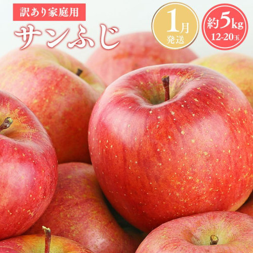 ≪令和8年産先行受付≫令和9年1月発送! 訳あり 家庭用サンふじ約5kg【青森県平川市産・青森りんご】【青森県 平川市 山内ファーム】家庭用 平川市産 青森りんご りんご リンゴ 林檎 ふじ 訳あり 家庭用 お取り寄せ 先行予約 果物 くだもの フルーツ  2542012 - 青森県平川市
