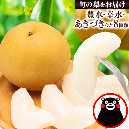 【2026年先行予約】梨 くまもと梨 秋 旬 なし 季節限定 幸水 豊水 先行 果物 くだもの フルーツ ナシ 梨 先行予約 送料無料 あきづき 甘太 新高 新興 約3.5kg 5玉～15玉前後 熊本県産【着日指定不可】《2026年8月下旬‐11月中旬頃より出荷》旬 果物 お取り寄せ 2542073 - 熊本県長洲町