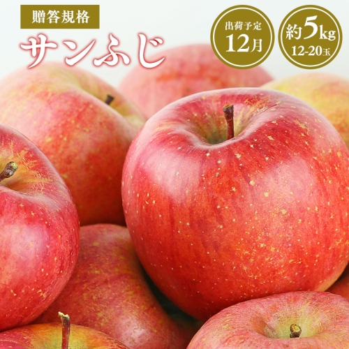 ≪令和8年産先行受付≫12月発送! 贈答用規格サンふじ約5kg【青森県 平川市 山内ファーム】 平川市産 青森りんご りんご リンゴ 林檎 ふじ 贈答 贈答品 お取り寄せ 先行予約 果物 くだもの フルーツ  2542082 - 青森県平川市