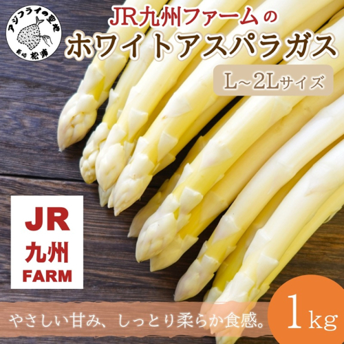 JR九州ファームのホワイトアスパラガス L～2Lサイズ 1kg ( アスパラガス ホワイトアスパラガス 国産 送料無料 長崎県 松浦市 )【B3-101】 2542083 - 長崎県松浦市