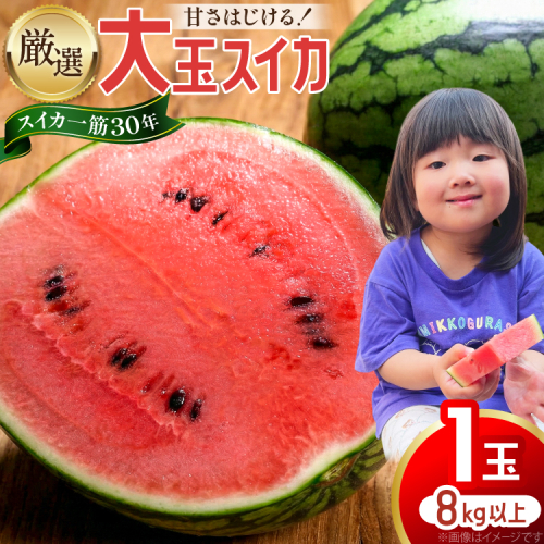 AJ698 【令和8年出荷分】 Farm honda 大玉スイカ 1玉 8kg以上 [ スイカ すいか 西瓜 大玉すいか 肥後浪漫 羅皇ザ・スイート 羅王 ラオウ らおう あまい 本多光則農園 長崎県 島原市] 2542138 - 長崎県島原市