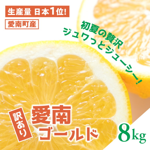 【訳あり】愛南ゴールド（河内晩柑）8kg | 柑橘 訳あり 詰め合わせ 家庭用 みかん かわちばんかん 果物 ジューシー ジュースみたいな果汁 鬼北町 愛南町 箱 送料無料 デザート ※北海道・沖縄・離島への配送不可 ※2026年4月上旬頃より順次発送予定 2542492 - 愛媛県鬼北町