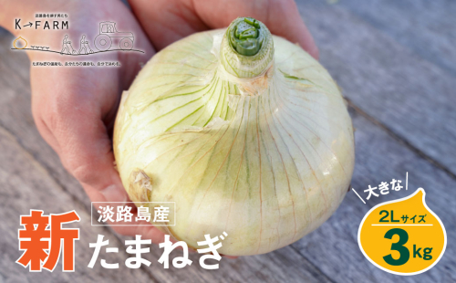【新玉ねぎ】淡路島たまねぎ 大きな2Lサイズ 3kg【発送時期：2026年3月下旬～5月頃】　玉ねぎ 産地直送 2542512 - 兵庫県淡路市
