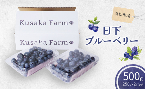 浜松市産日下ブルーベリー500g（250g×2パック）【配送不可：離島】 果物 くだもの フルーツ ブルーベリー 日下農園 大粒 完熟 フレッシュ 豊かな甘み 爽やかな風味 自然 贅沢 手摘み 手作業 静岡 浜松市 2542945 - 静岡県浜松市