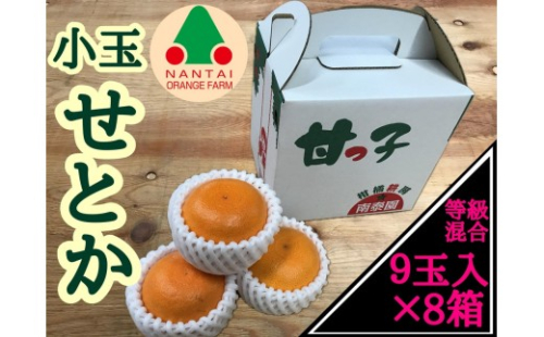 ［8箱セット］甘っ子 小玉 ハウス せとか 9玉入 × 8箱 手さげ箱 南泰園 2542975 - 和歌山県有田川町