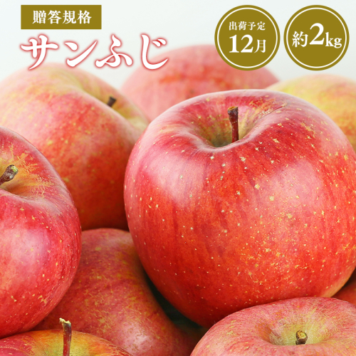 ≪令和8年産先行受付≫12月発送! 贈答規格サンふじ約2kg【青森県 平川市 山内ファーム】家庭用 平川市産 青森りんご りんご リンゴ 林檎 ふじ 訳あり 家庭用 お取り寄せ 先行予約 果物 くだもの フルーツ  2542976 - 青森県平川市