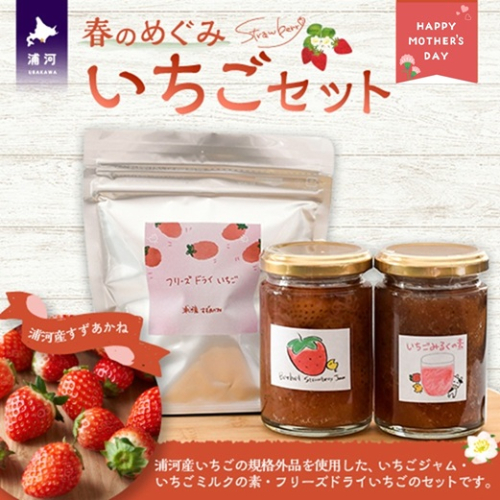 【母の日対応】べてるの家の「いちごセット」[45-1594] 2543056 - 北海道浦河町