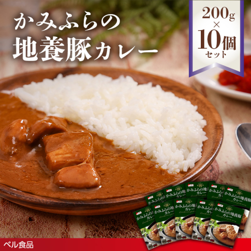 かみふらの地養豚カレー 200g 10個セットen01-00212			
 2543192 - 北海道遠軽町