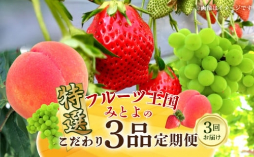 M02-0114_三豊市産　人気の厳選フルーツ定期便（年4回）