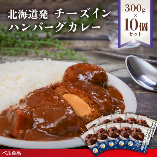 北海道発チーズインハンバーグカレー 300g 10個セットen01-00236 2544081 - 北海道遠軽町