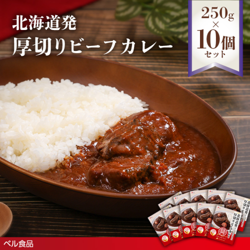 北海道発厚切りビーフカレー 250g 10個セットen01-00238 2544086 - 北海道遠軽町