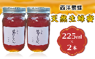 天然生蜂蜜（西洋蜜蜂）2本セット【ハチミツ 蜂蜜 はちみつ 生蜂蜜 蜂 お菓子 瓶タイプ 砂糖 甘い 濃厚】