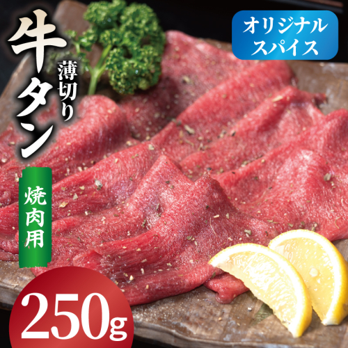 焼肉 牛タン 薄切り オリジナルスパイス  小分け お試し少量パック（250g×1P） 099H4377 2544902 - 大阪府泉佐野市