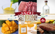 とみぐすくpremium定期便 TE014