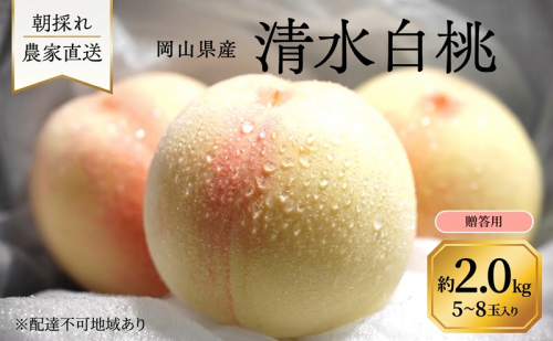 桃 2027年 先行予約 岡山県産 清水白桃 贈答用 2.0kg(5～8玉) 朝採れ 農家直送  2544958 - 岡山県里庄町