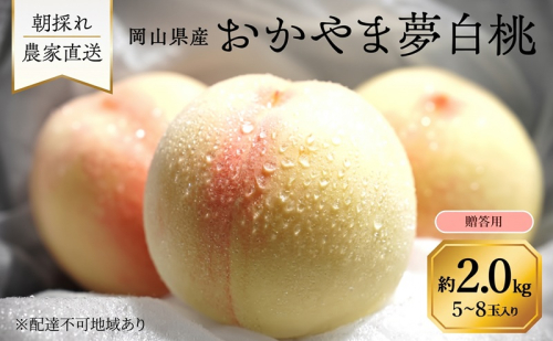 桃 2027年 先行予約 岡山県産 おかやま夢白桃 贈答用 2.0kg(5～8玉)　朝採れ　農家直送 2544959 - 岡山県里庄町