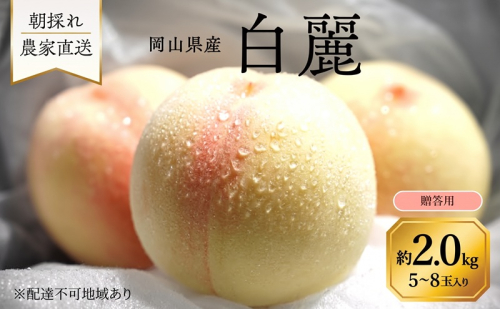桃 2027年 先行予約 岡山県産 白麗 贈答用 2.0kg(5～8玉) 朝採れ 農家直送 2544960 - 岡山県里庄町