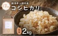 新潟県特別栽培農作物 玄米 新潟県上越市産 横山農園 コシヒカリ 令和7年産 2kg（2kg×1袋）こしひかり お米  ご飯 送料無料