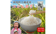 令和8年産　先行予約　上越市産コシヒカリ　5kg　新米　精米　新潟　米　こしひかり　新潟県　上越市　　限定　おすすめ　米ヴィレッジさんわ