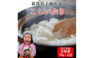 令和8年産　先行予約　上越市産こしいぶき　5kg×6回定期便　新米　精米　新潟　米　新潟県　こしいぶき　限定　定期便　おすすめ　米ヴィレッジさんわ