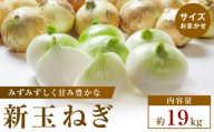【2026年3月~5月発送】この時期にしか味わえない、みずみずしく甘み豊かな「新玉ねぎ」　約19kg