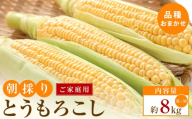 【5月31日までの期間限定価格!】ご家庭用　朝採りとうもろこし(品種おまかせ)約8kg